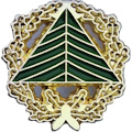 Goldene Ehrennadel des Deutschen Wanderverbandes